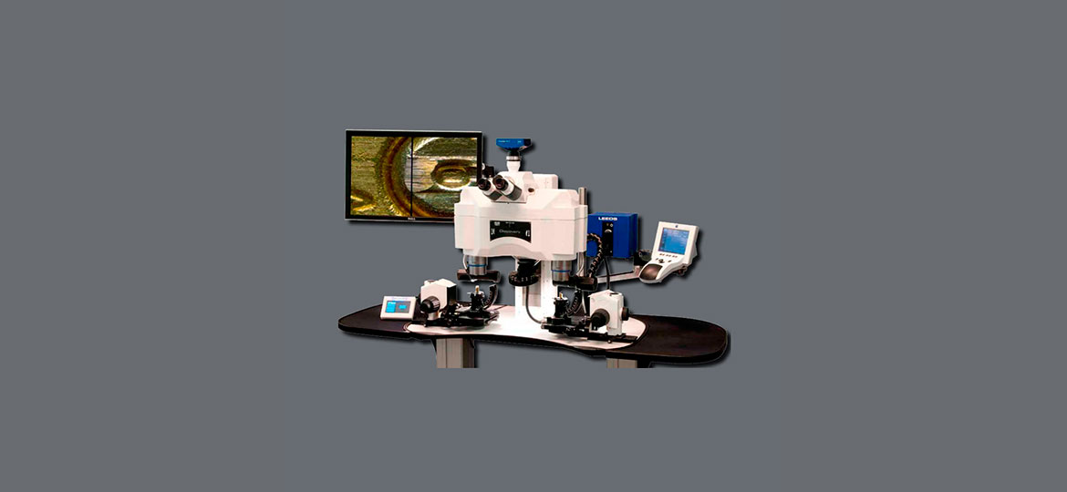 Microscopio de compracion, Discovery